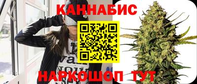 стафф Будённовск