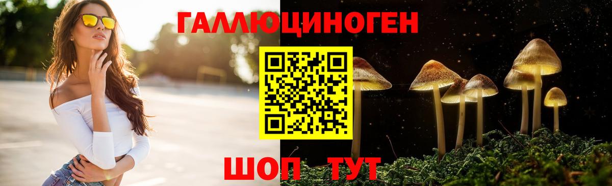 Уссурийск  Галлюциногенные грибы GOLDEN TEACHER  Вход с VPN  Псилоцибиновые грибы Magic Shrooms 